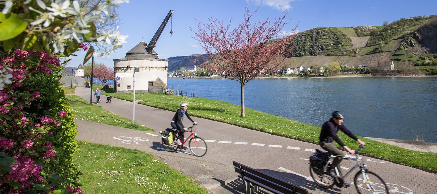 Andernach 24 1800x840 1